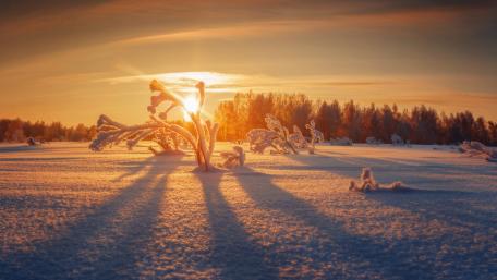 Serene Winter Sunrise Over Snowy Landscape wallpaper