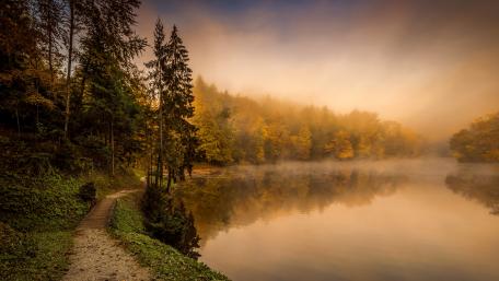 Autumn Serenity by the River wallpaper