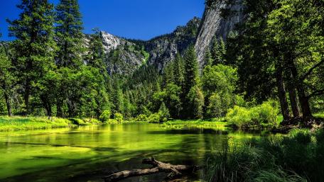 Tranquil Green Nature Landscape wallpaper