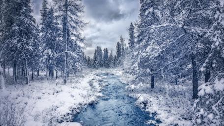 Winter Serenity by the Riverbank wallpaper