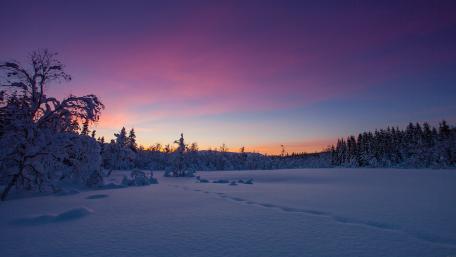 Serene Twilight Over Snowy Landscape wallpaper