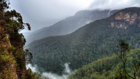 Majestic Mountain Misty Views wallpaper