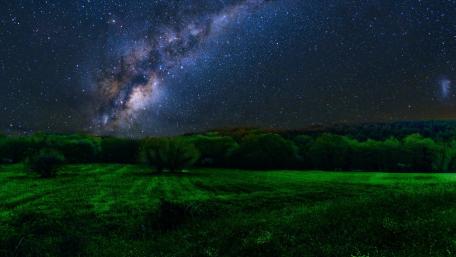 Starlit Green Grassland Under the Milky Way Night Sky wallpaper
