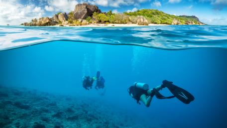 Scuba Adventure in Crystal Waters wallpaper