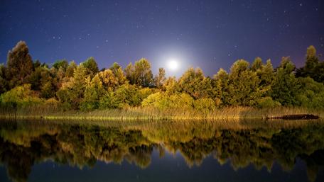 Tranquil Moonlit Reflection over a Starry Lake wallpaper