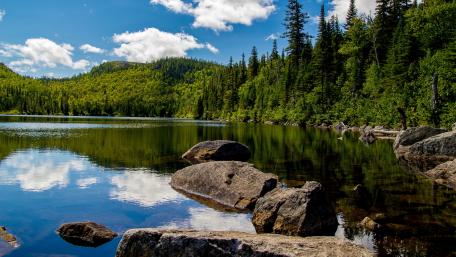 Tranquil Reflections in Nature's Embrace wallpaper