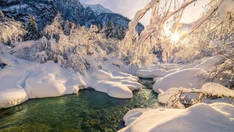 Serene Winter Creek Reflection Under a Golden Sunlight wallpaper