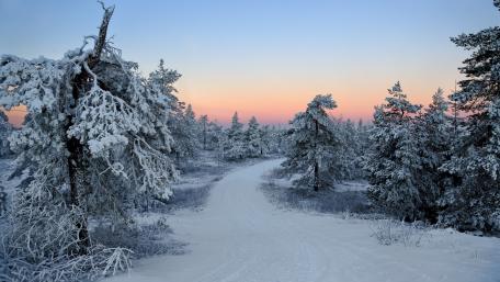 Serene Winter Landscape in Twilight Glow wallpaper