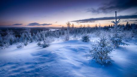 Serene Winter Landscape in Blue Hour Light wallpaper