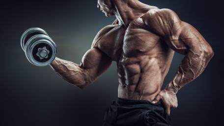 Power and Precision in Bodybuilding wallpaper