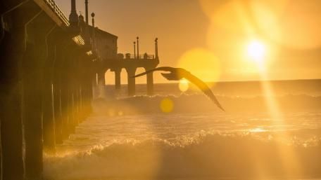 Golden Hour Serenity on the Pier wallpaper