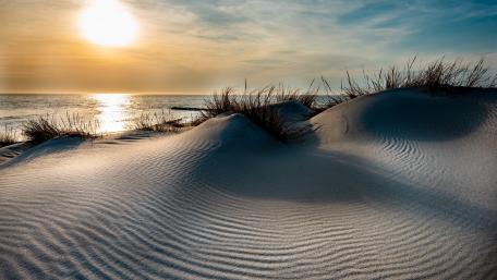 Serene Beach Dunes at Sunset View wallpaper