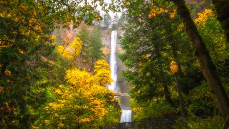 Multnomah Falls wallpaper