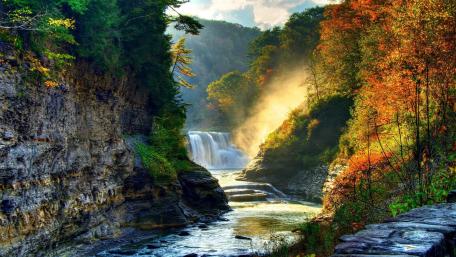 Water stream aside with colorful shrubs wallpaper