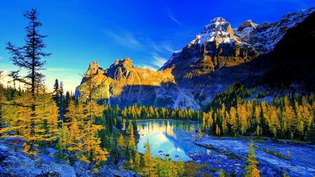 Breathtaking Wilderness Reflections in Nature's Beauty wallpaper