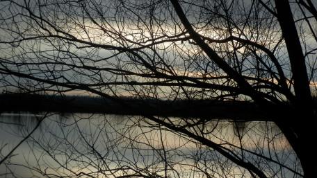 Serene Reflection of Nature in Twilight wallpaper