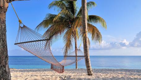Hammock on the beach wallpaper