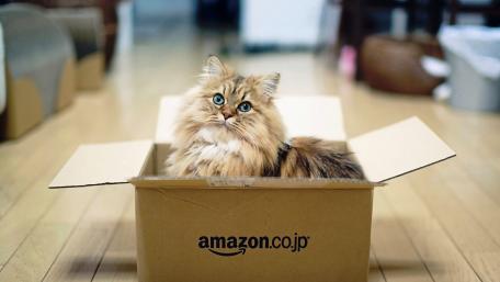 Cat in the box wallpaper