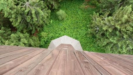 Majestic View from the Lookout Tower wallpaper