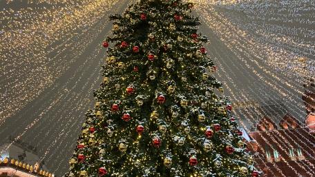 Festive Christmas Tree Under Shimmering Lights wallpaper