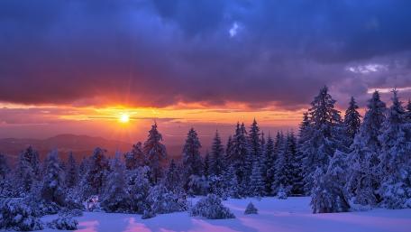 Winter Sunset Over Snowy Pine Trees wallpaper