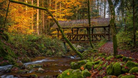 Baden Württemberg Black Forest wallpaper