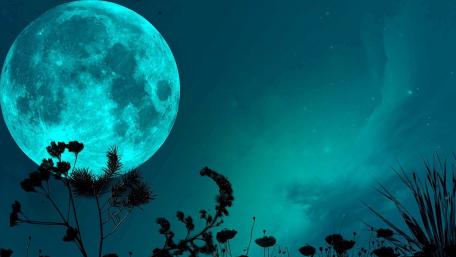 Midnight Blue Moon Wonderland wallpaper