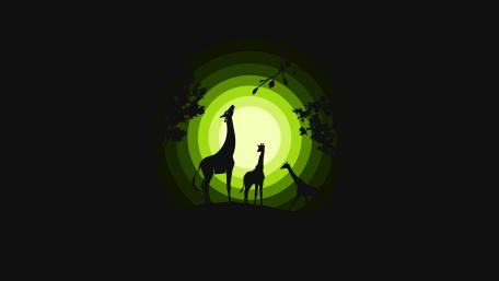 Minimal Giraffes wallpaper