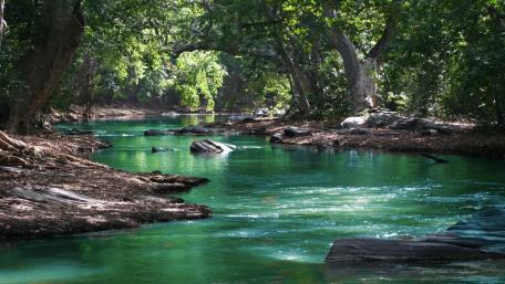 Body Of Water Among Green Leafy Trees wallpaper