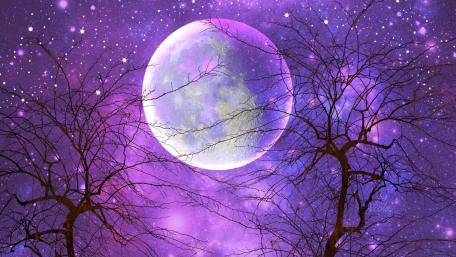 Pink moon wallpaper
