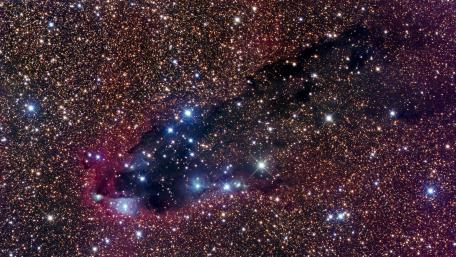 Starry Majesty in the Cosmic Realm wallpaper