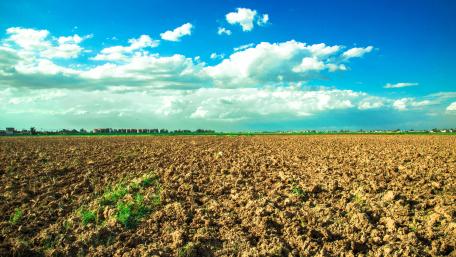 Vast Open Countryside Landscape with Blue Sky and Clouds wallpaper