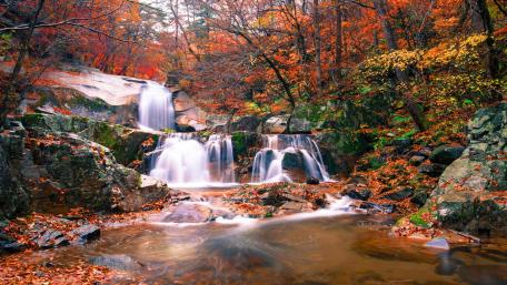Autumn's Serenade at the Waterfall wallpaper
