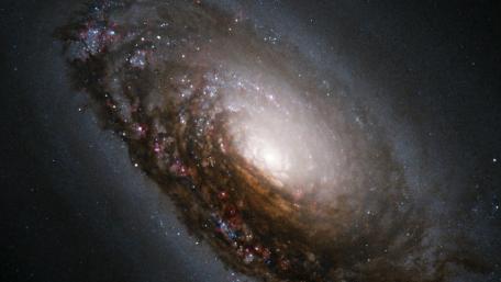 NGC 3314 Galactic Overlap Captured by Hubble Telescope wallpaper