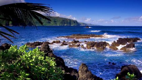West Bali National Park wallpaper