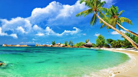 Tropical  Theme wallpaper