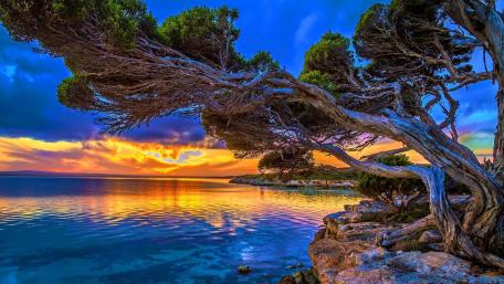 Tranquil Twilight by the Shore wallpaper