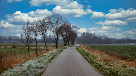 Lost Road wallpaper