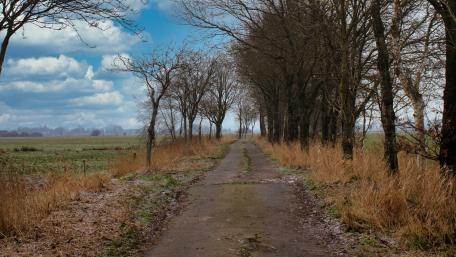 Lonely Road wallpaper