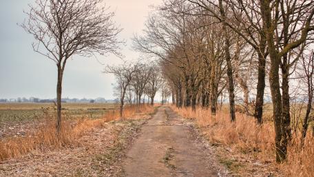 Lonely Road red wallpaper