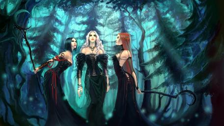 Witches' Gathering in the Enchanted Forest wallpaper