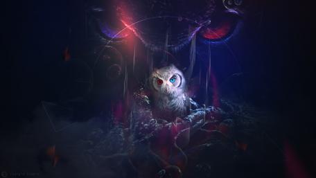 Owl with different colored eyes wallpaper