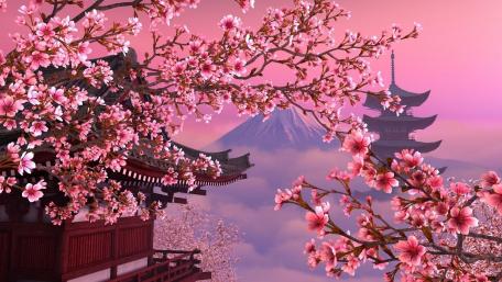 Sakura Season's Dreamy Embrace wallpaper