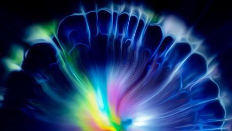 Luminous Bloom in Midnight Hues wallpaper