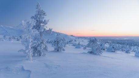 Winter Wonderland in 8K UHD wallpaper