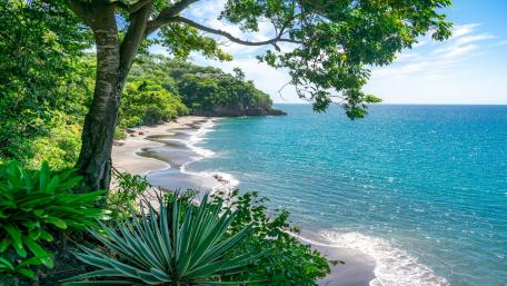 Tropical Paradise by the Sea wallpaper