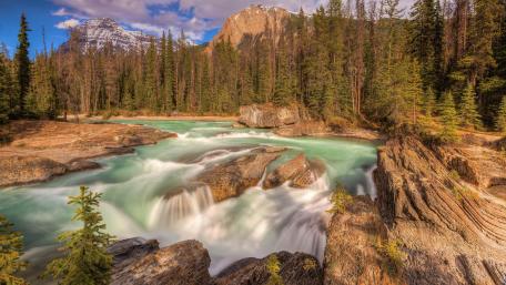 Majestic Rapid River in Serene Wilderness wallpaper