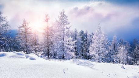 Winter Wonderland at Sunrise wallpaper
