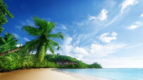 Tropical beach wallpaper