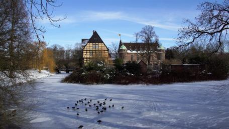 Wasserschloss Witringen in winter wallpaper